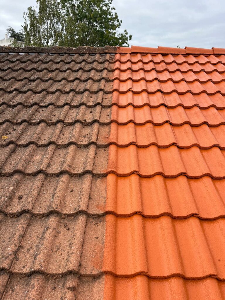 PHOTO-2025-10-02-16-53-00 6 PHOTO 2025 10 02 16 53 00 6 768x1024