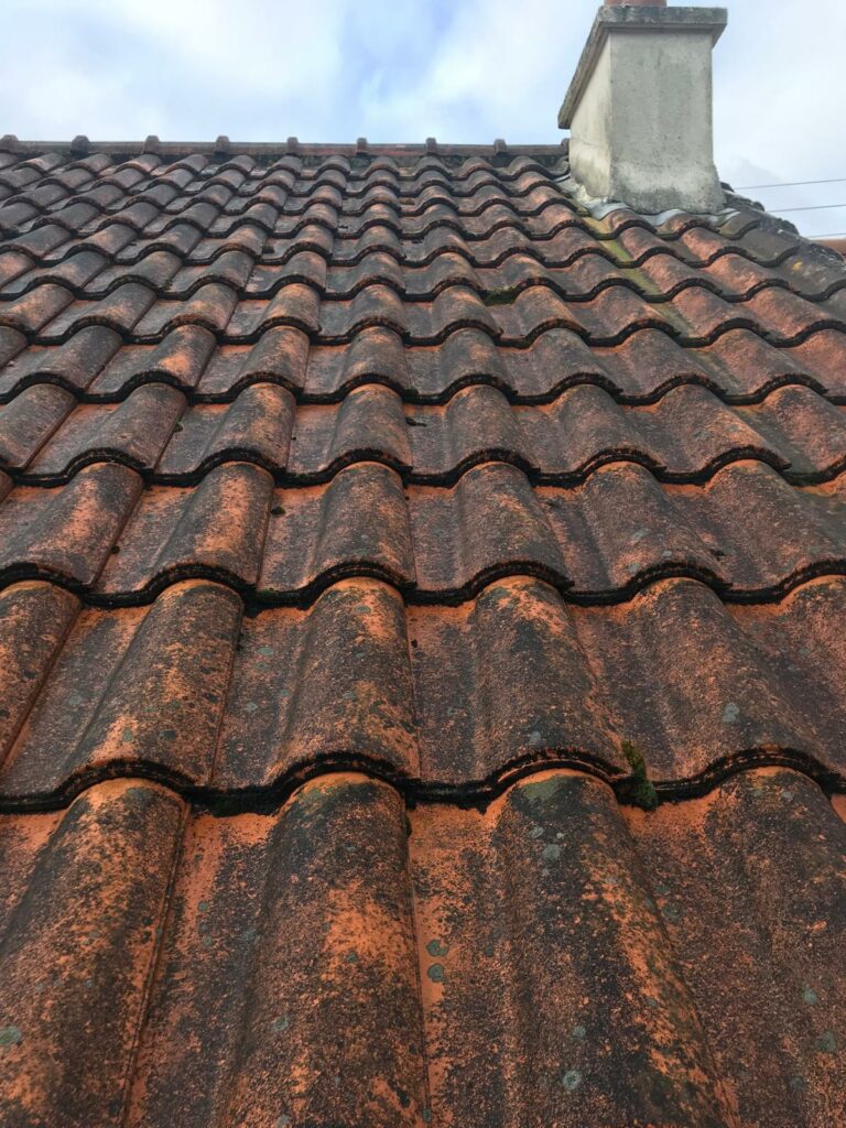 PHOTO 2025 10 02 16 53 00 768x1024