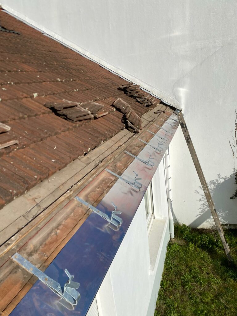 photo 2026 01 30 12 32 51 34