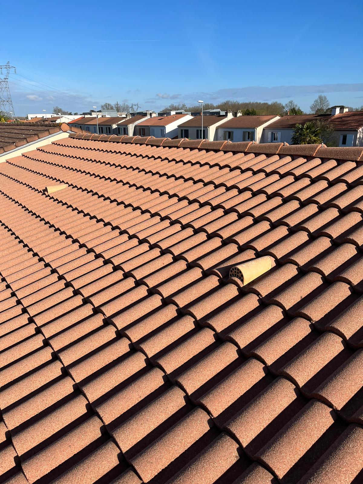 photo 2026 01 30 12 32 51 39