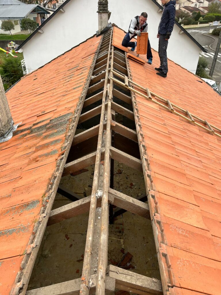 photo 2026 01 30 12 32 51 45