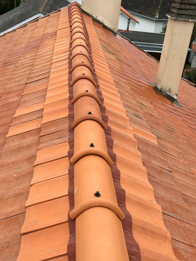 photo 2026 01 30 12 32 51 46