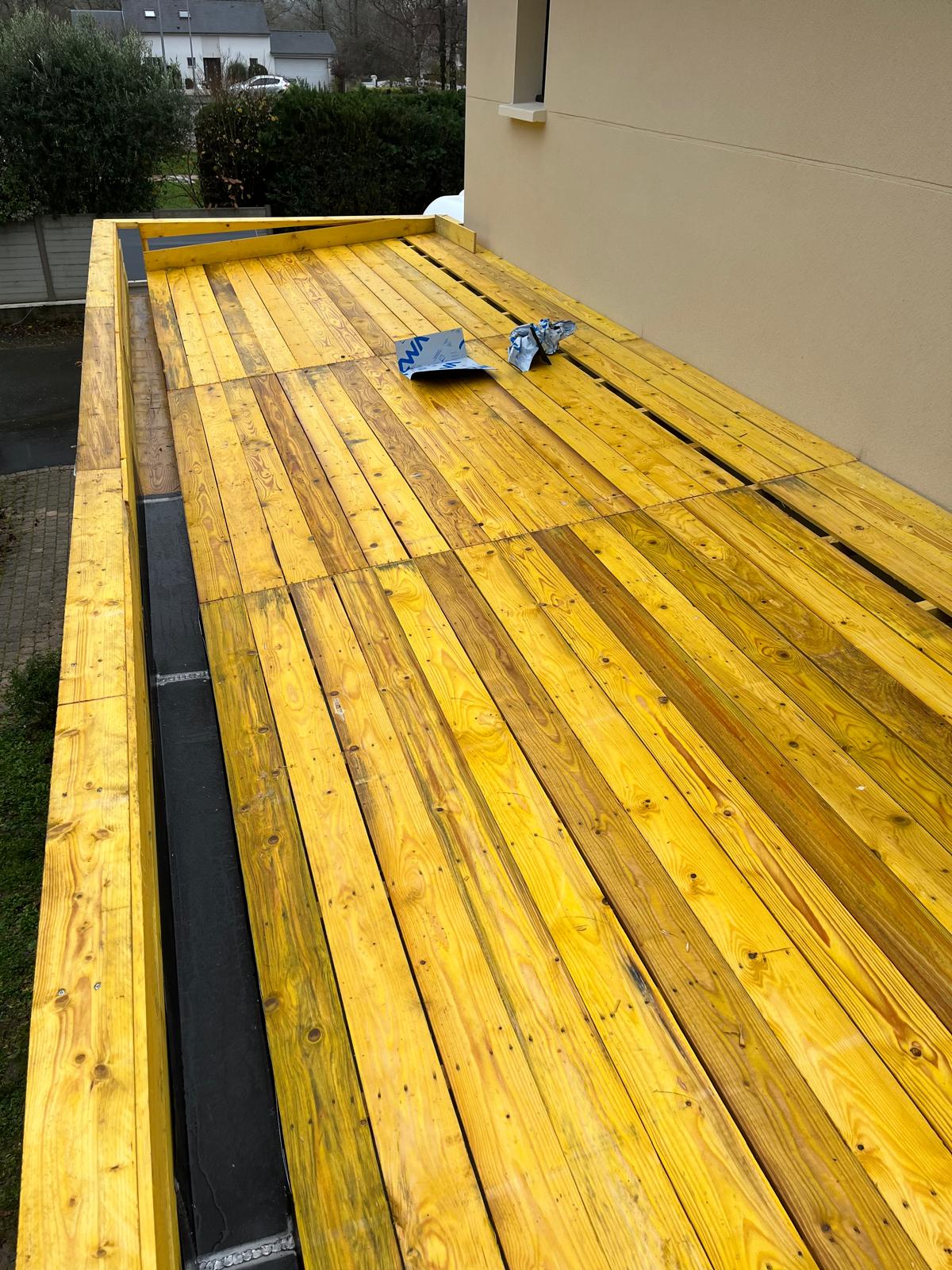 photo 2026 01 30 12 32 51 47