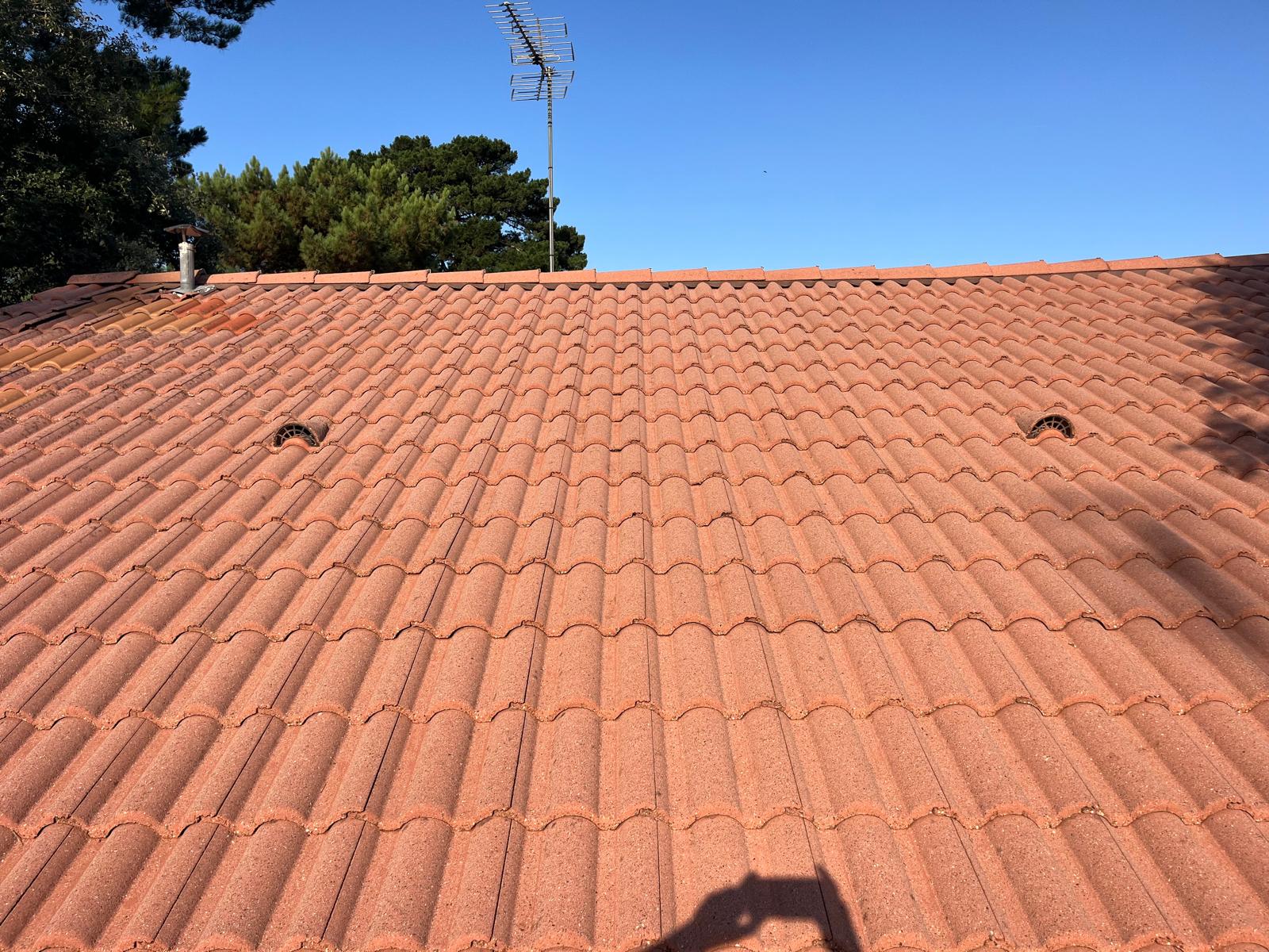 photo 2026 01 30 12 32 52 17