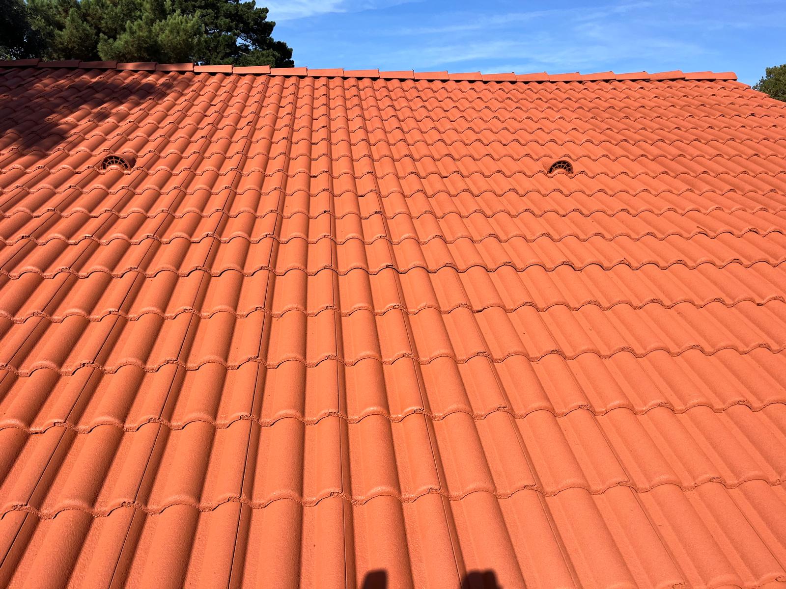 photo 2026 01 30 12 32 52 18