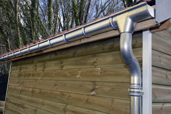 photo 2026 01 30 12 32 53 14