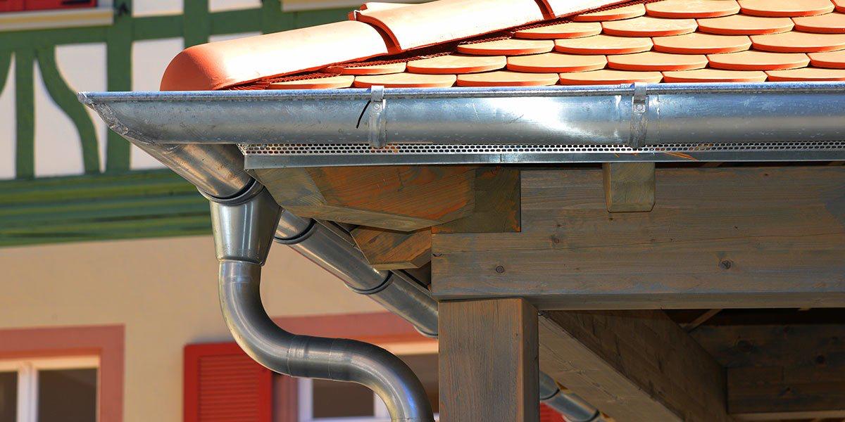 photo 2026 01 30 12 32 53 16