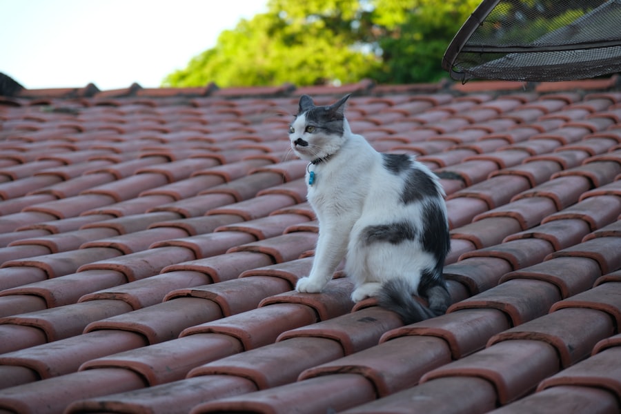 Intervention rapide en cas de fuite Photo fuite