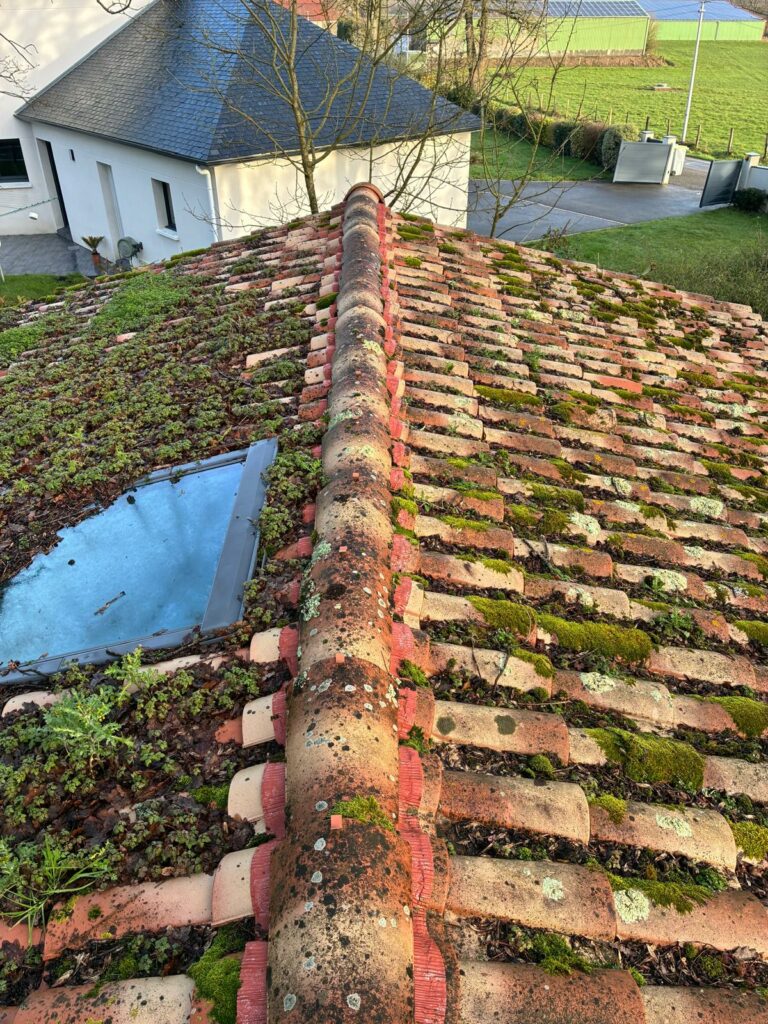 photo 2026 02 06 02 08 04 2 photo 2026 02 06 02 08 04 2