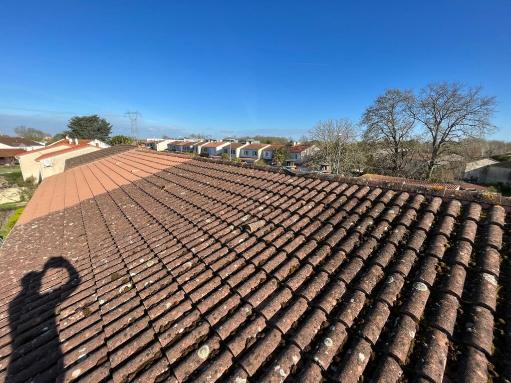 photo 2026 02 06 02 14 26 6